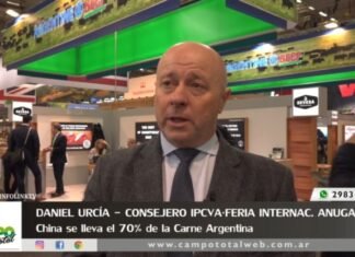 Entrevista a Daniel Urcía