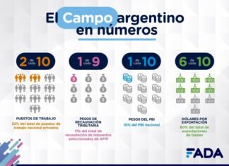 Informe FADA: El números del campo argentino