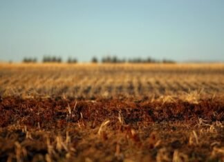 Declaran Emergencia Agropecuaria en la región