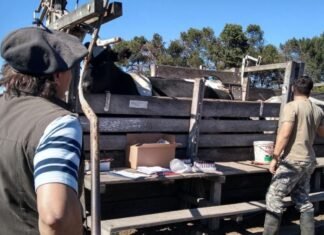 El 70% de productores cumplieron con la DOES