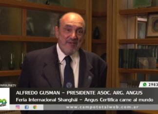 Entrevista a Alfredo Guzman