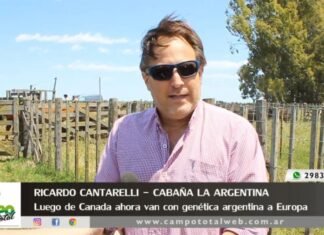 Entrevista a Ricardo Cantarelli