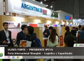 Entrevista a Ulises Forte