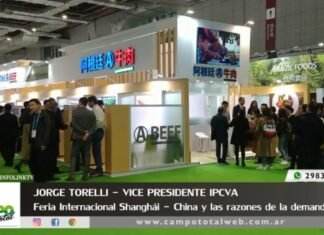 Entrevista a Jorge Torelli