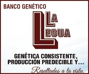 BANCO GENÉTICO