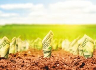 Sesenta de cada cien pesos son para el Estado
