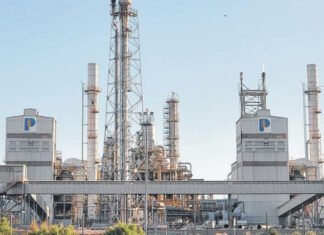 Profértil, importante aporte al programa de Carbono Neutro
