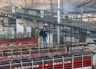 Liniers: Sólo tres días con negocios en el Mercado