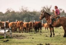 La reforma laboral y el sector agropecuario