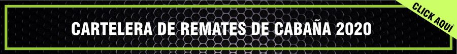 CARTELERA REMATES