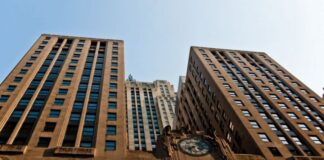 Chicago cerró con subas para trigo, soja y maíz