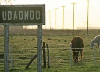 Un peón rural de la zona de Cañuelas murió de Coronavirus