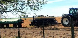Con algo de retraso avanza la siembra de Trigo