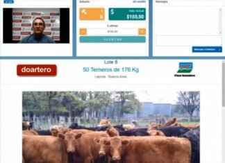 Doartero tuvo su debut por Internet