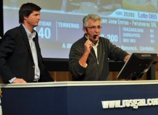 Rosgan, un remate inédito conectando ocho ciudades del país