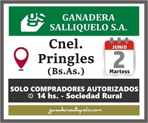 ganadera salliquelo.