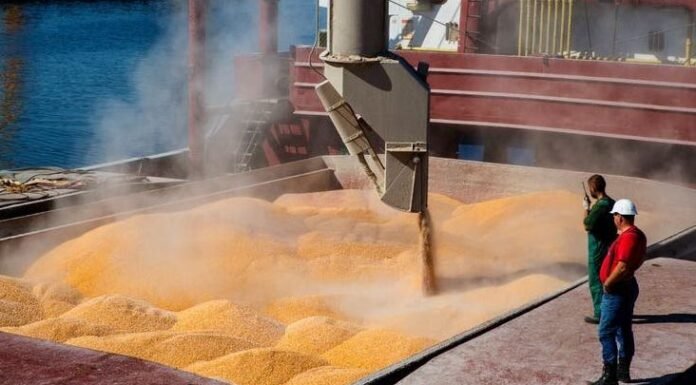 La liquidación de divisas del agro alcanzó U$S 3.228 millones