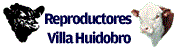 reproductores villa huidobro