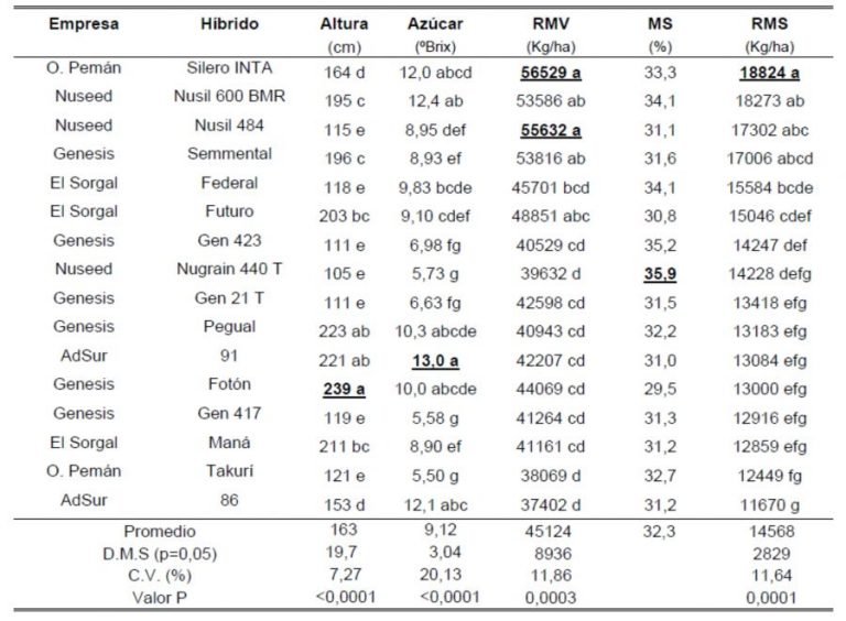 Ensayos con Sorgo ¿Quién da más?