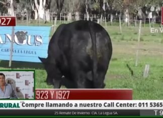 La Legua y un gran remate por la web