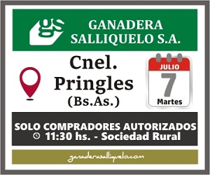 gs cp