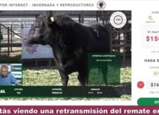Brandemann hizo negocio en la web