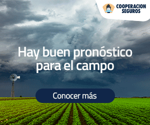 gif-radio-granizo-300×250-cs