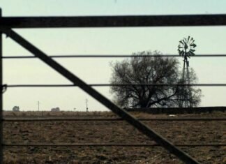 Se reunió el Consejo Regional para el Desarrollo SOB