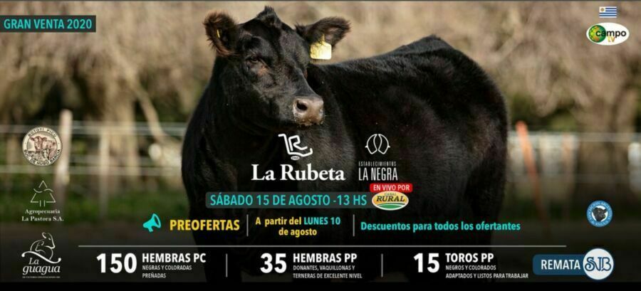RUBETA