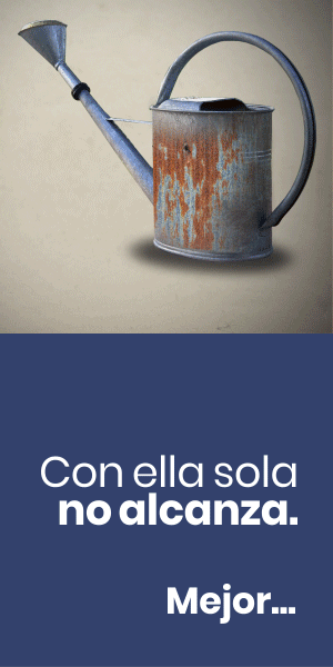 banner-web-300×600-completo