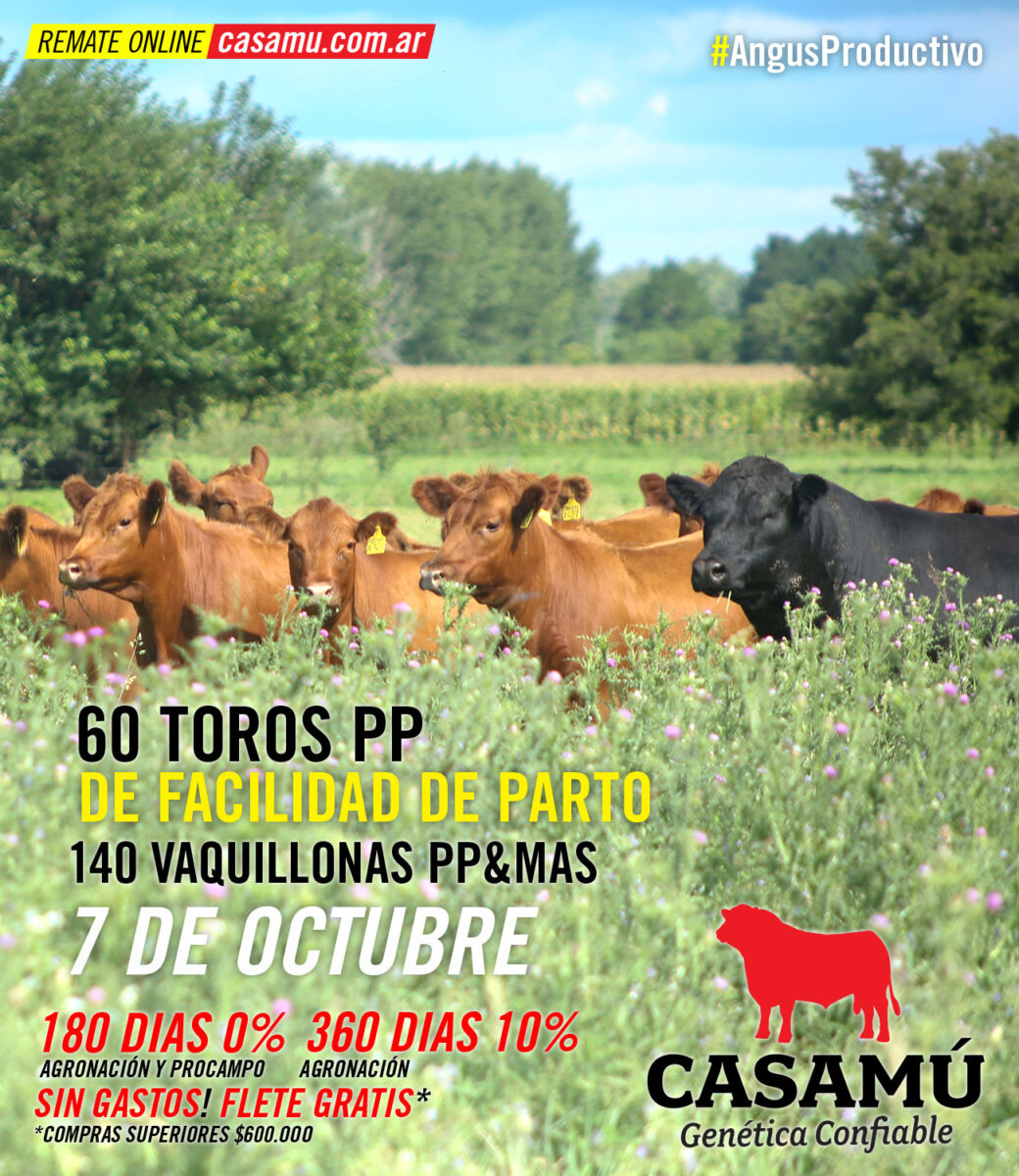 1300×1500-fijo