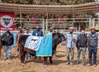 Huinca Renancó tuvo su Exposición Angus