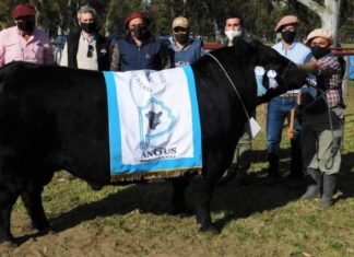 La Reserva y Quequen Sur pisaron fuerte en Bordeu