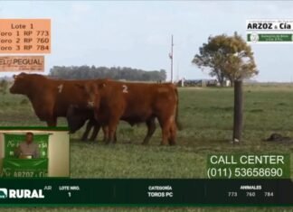 «Productores para Productores» pasó fugazmente por la web