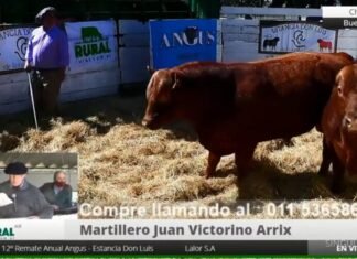 Estancia Don Luis en un «mixto» vendió toda su producción
