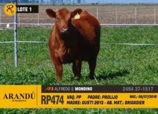 Un «huracán» llamado Rústicos