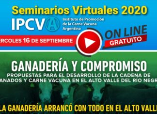 Seminario virtual del IPCVA en el Alto Valle de Río Negro