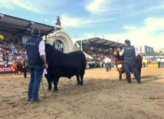 AnGus presentó sus actividades en Palermo