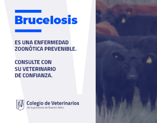 BRUCELOSIS – CAMPO TOTAL