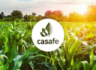 Un informe que cuantifica la industria de Fitosanitarios