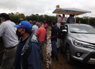 En Bahía la oferta no opacó el mercado
