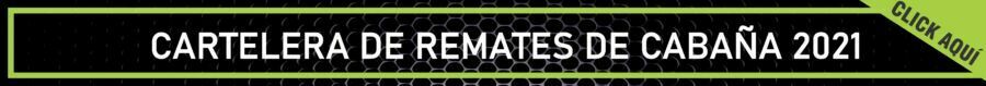 CARTELERA REMATES