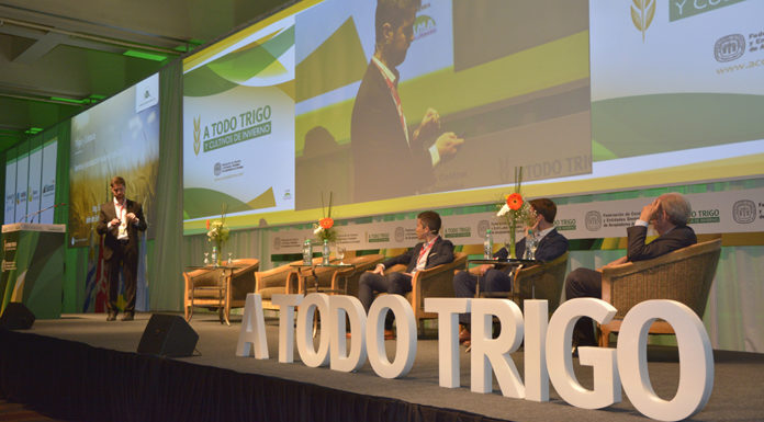 De la genética a la geopolítica: así viene A todo Trigo 2026