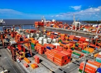 Agricultura inhabilitó la operación de 12 empresas exportadoras