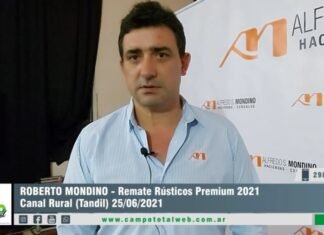 Entrevista a Roberto Mondino