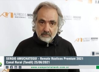 Entrevista a Sergio Amuchategui