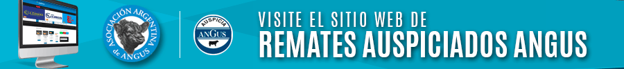 banner900x100