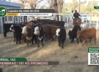 Colombo y Magliano volvió con la dualidad a Olavarría