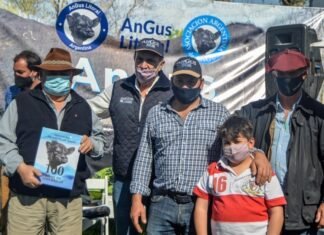 Un libro sobre la historia de la ganadería argentina, a través de su raza líder