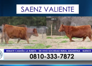 Cuando la consistencia genética tiene su premio